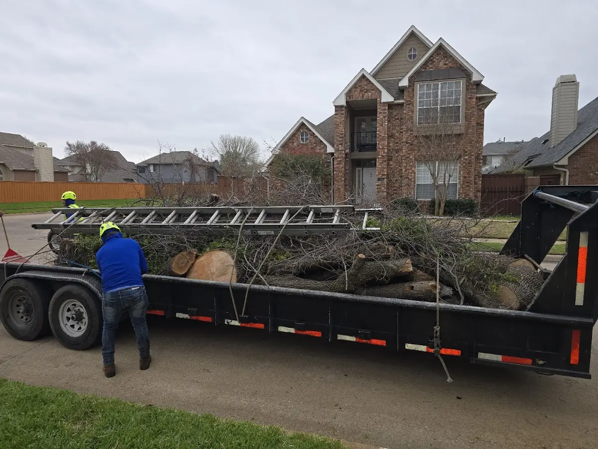 Expert Tree Fertilization with proper safety equipment in Laceyville